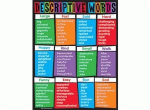 10 academic phrases to use in your essay Oxbridge Essays